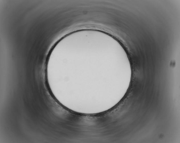 X0000098091514200804041208