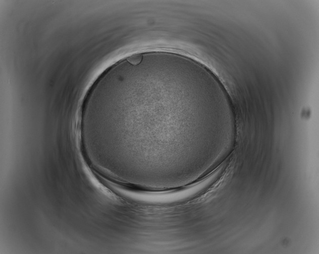 X0000098091515200804041208