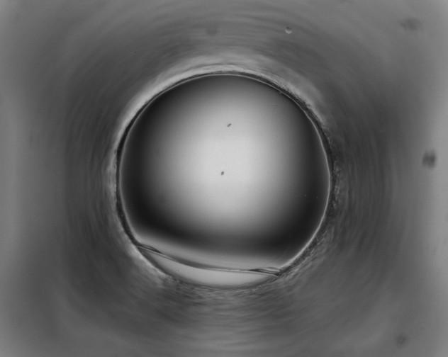 X0000098091516200804041208