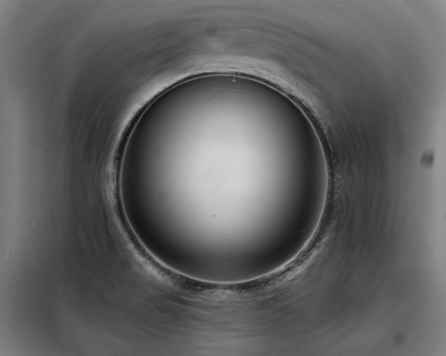 X0000098091517200804041208