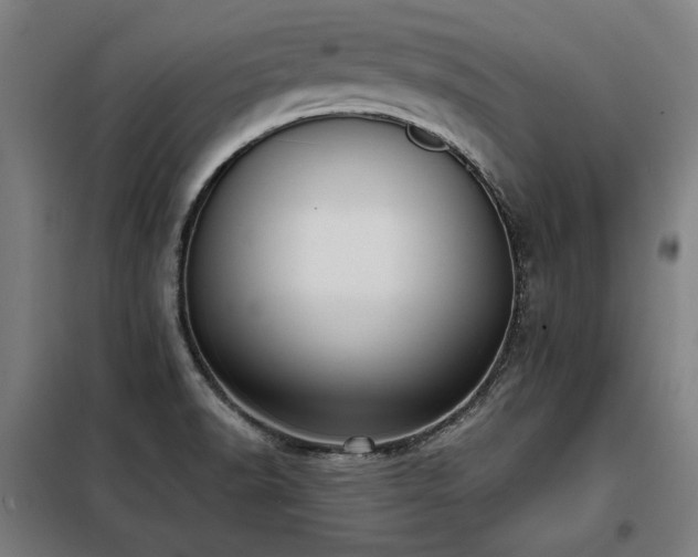 X0000098091518200804041208