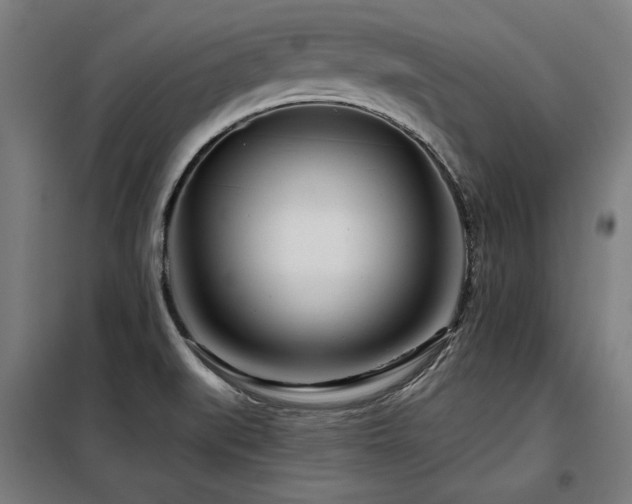 X0000098091519200804041208