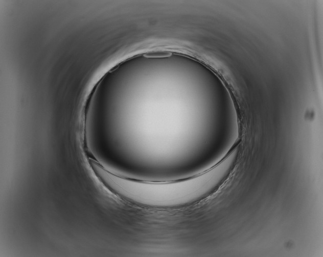 X0000098091520200804041208