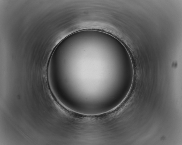 X0000098091521200804041208