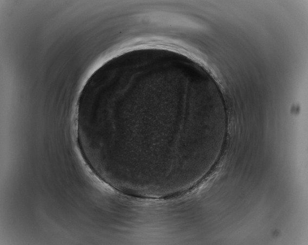X0000098091522200804041208