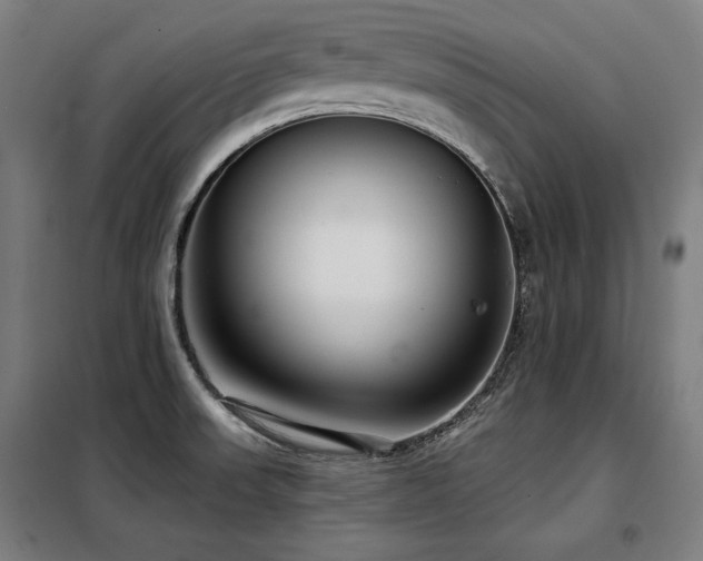 X0000098091523200804041208