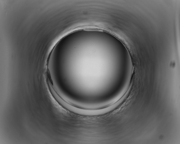 X0000098091524200804041208