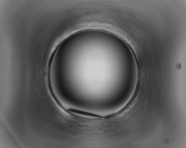 X0000098091525200804041208