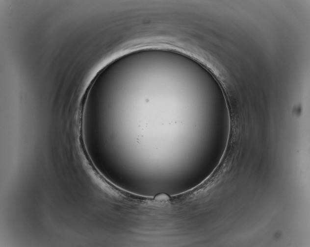 X0000098091526200804041208
