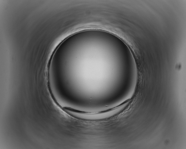 X0000098091527200804041208
