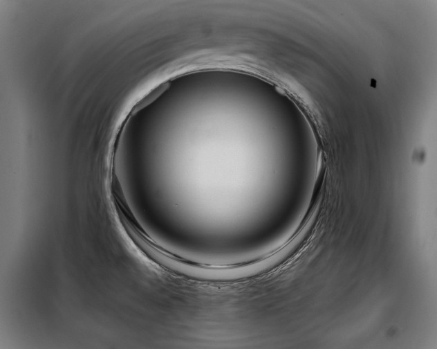X0000098091528200804041208