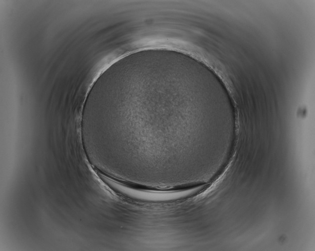 X0000098091529200804041208