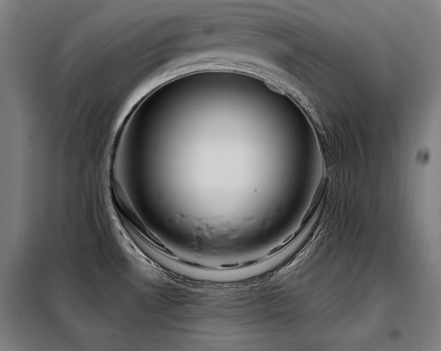X0000098091530200804041208