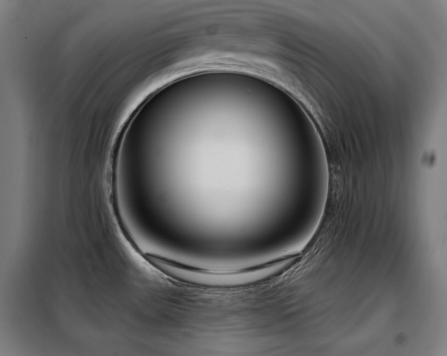 X0000098091531200804041208