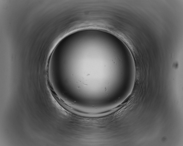 X0000098091532200804041208