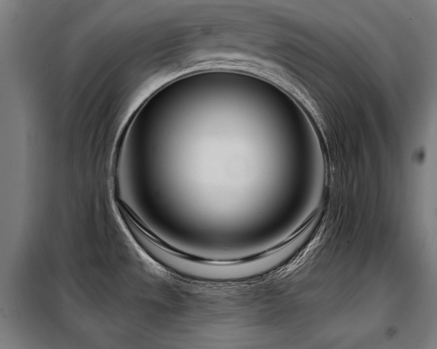 X0000098091533200804041208