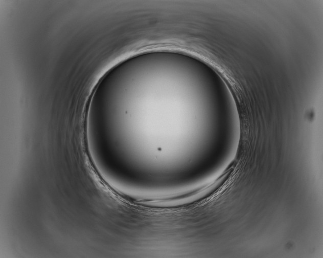 X0000098091534200804041208