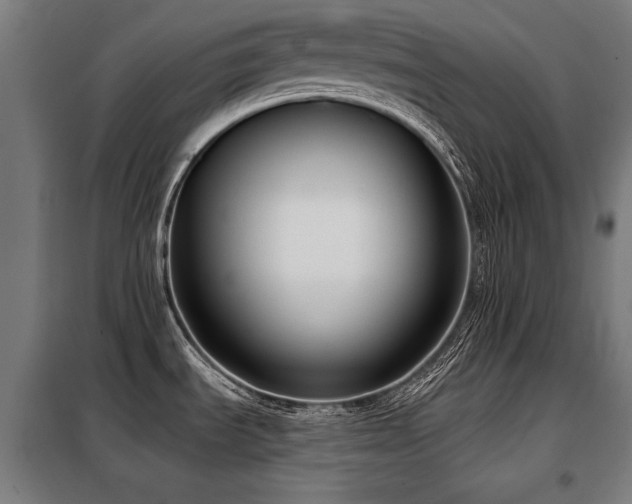 X0000098091535200804041208