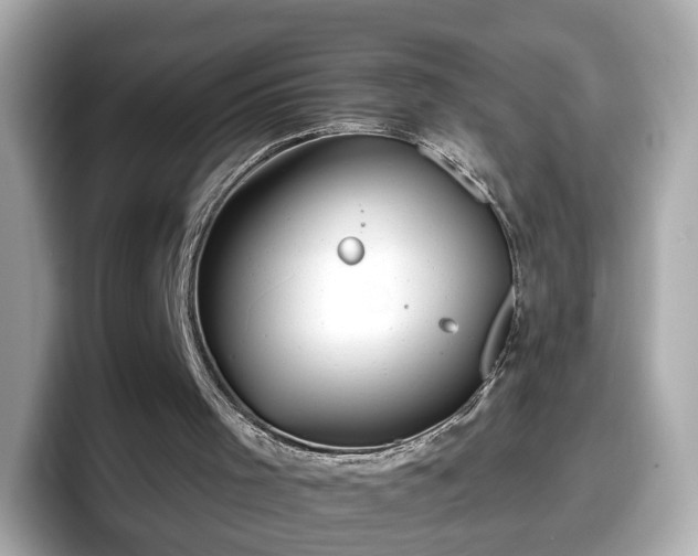 X0000098090001200804111012
