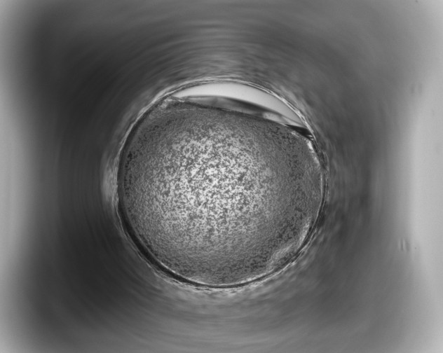 X0000098090002200804111012