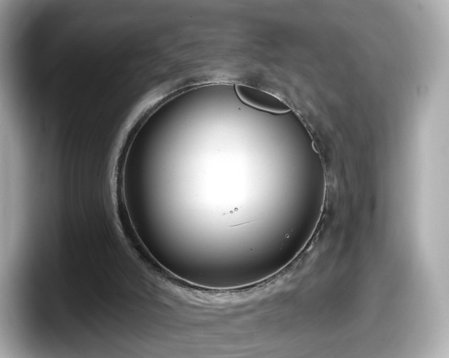X0000098090006200804111012