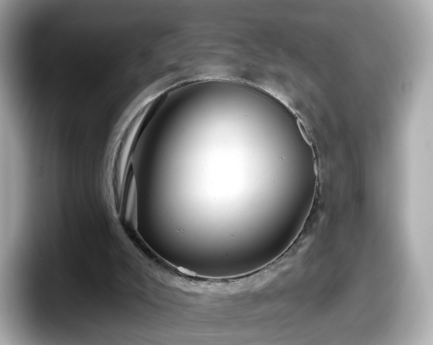 X0000098090007200804111012