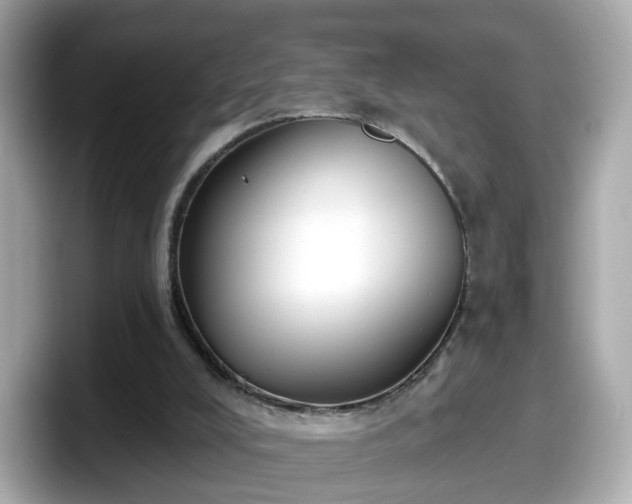 X0000098090008200804111012