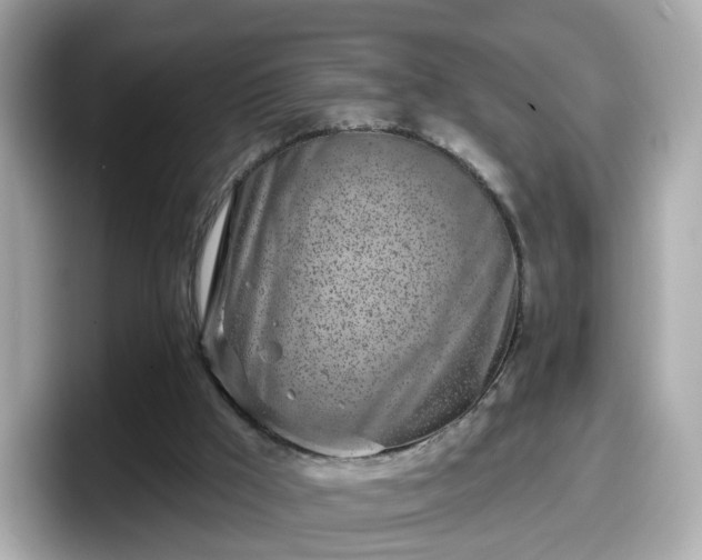 X0000098090009200804111012