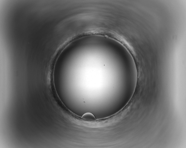 X0000098090010200804111012