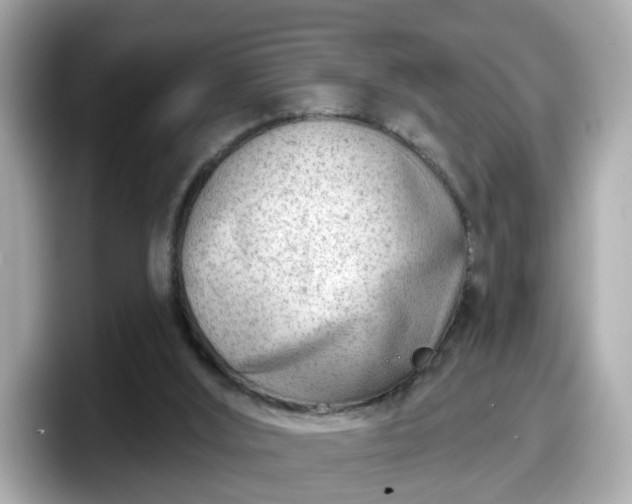 X0000098090012200804111012