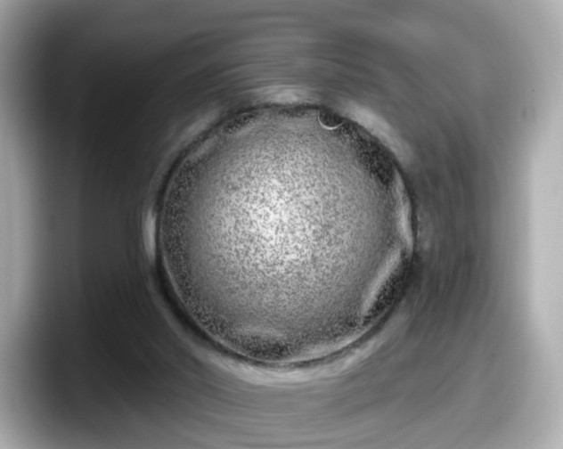 X0000098090014200804111012