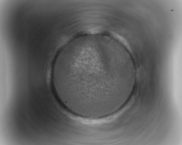 X0000098090018200804111012