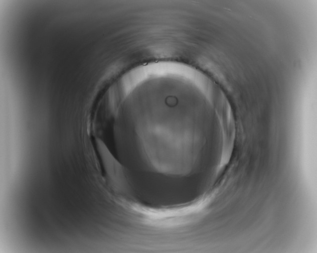 X0000098090019200804111012