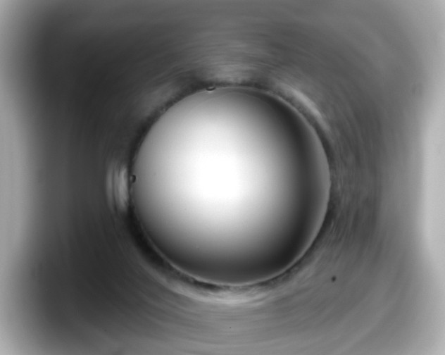 X0000098090020200804111012