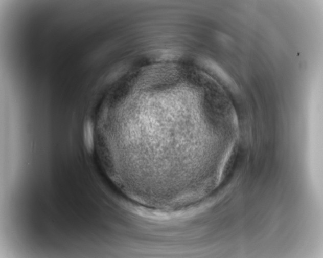 X0000098090022200804111012