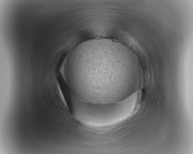 X0000098090029200804111011