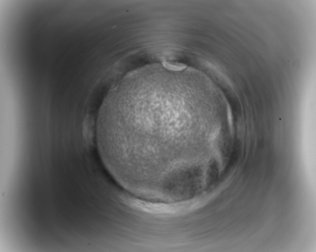 X0000098090030200804111011
