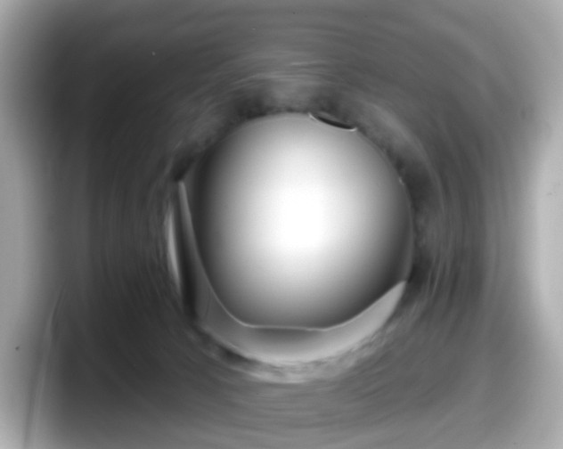 X0000098090033200804111011