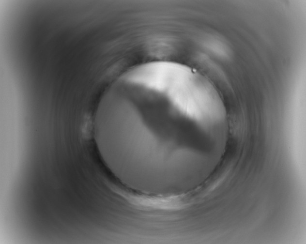 X0000098090036200804111011