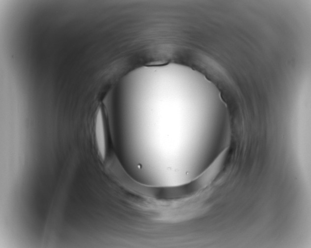 X0000098090037200804111011