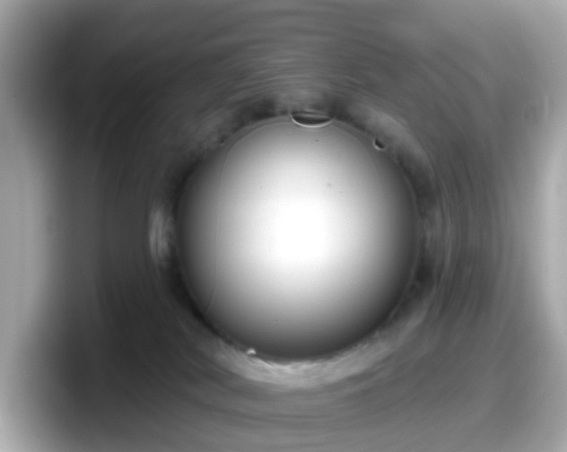 X0000098090038200804111011