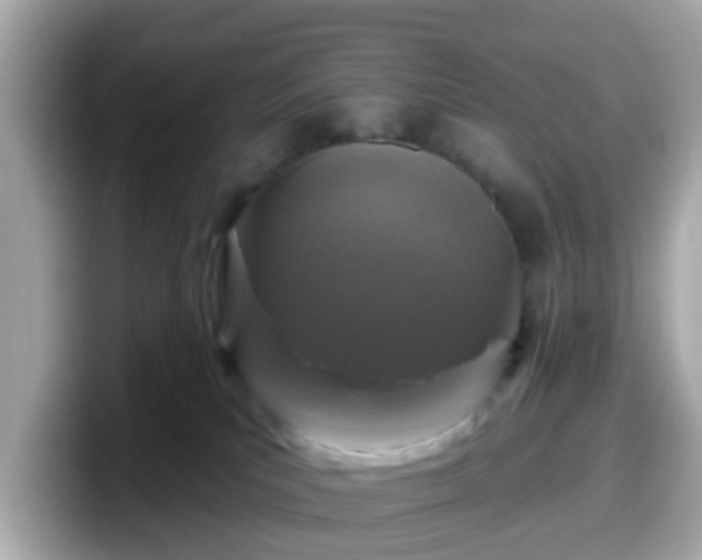 X0000098090039200804111011