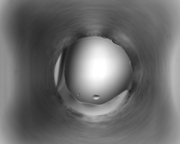 X0000098090041200804111011