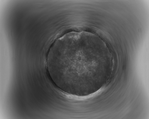 X0000098090048200804111011