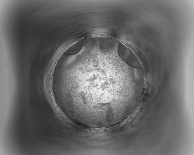 X0000098090049200804111011