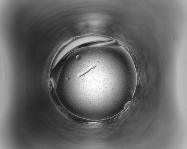 X0000098090050200804111011
