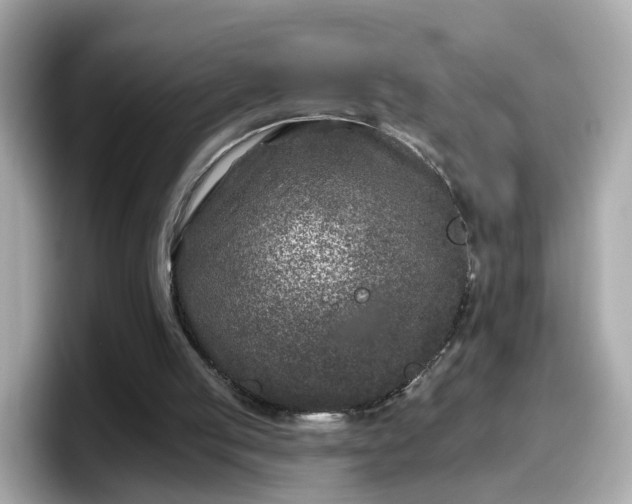 X0000098090053200804111011