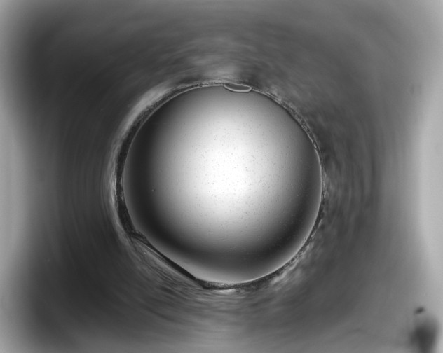 X0000098090054200804111011