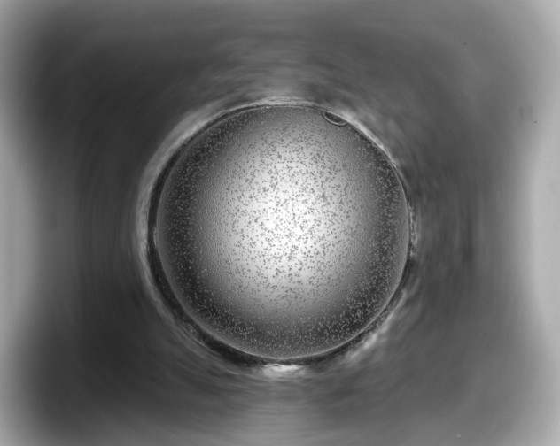 X0000098090055200804111011