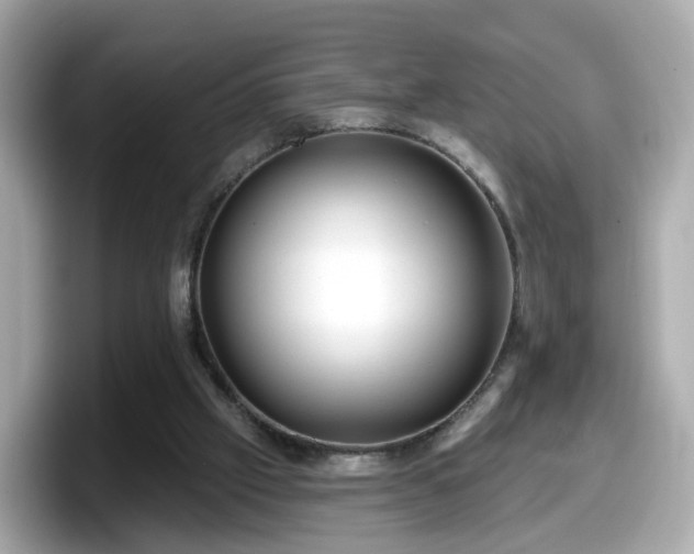 X0000098090057200804111011